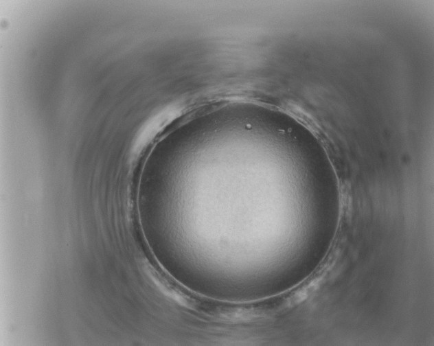 X0000073750293200608102027