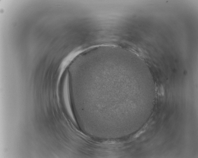 X0000073750294200608102027