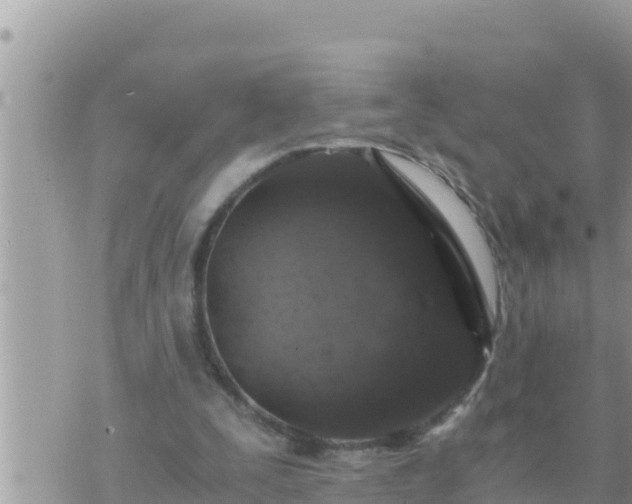 X0000073750295200608102027