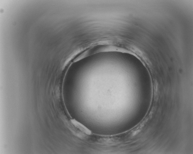 X0000073750297200608102027