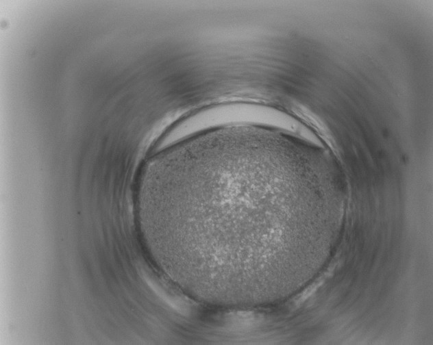 X0000073750298200608102027