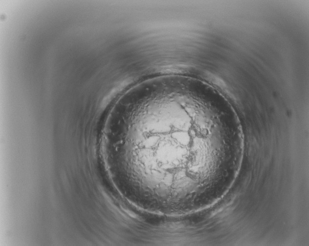 X0000073750299200608102027