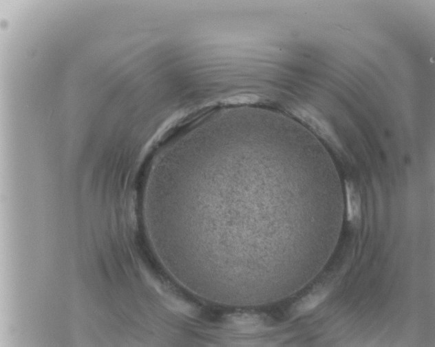 X0000073750300200608102027