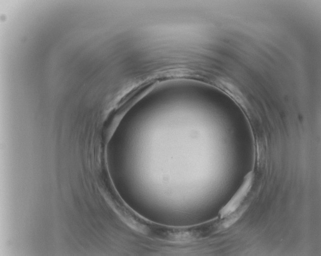 X0000073750301200608102027