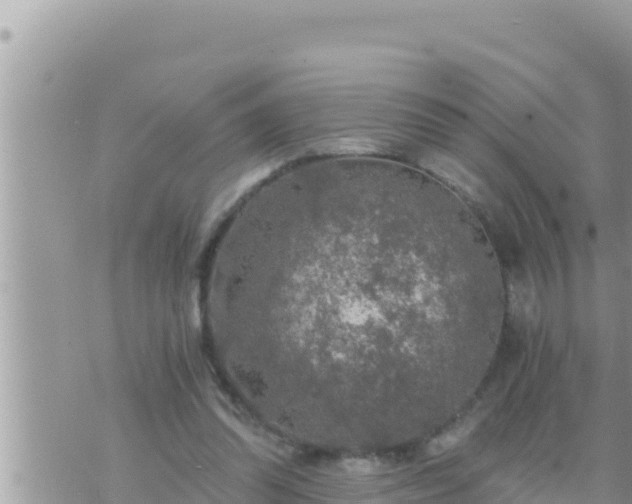 X0000073750302200608102027