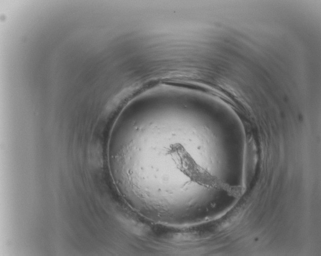 X0000073750303200608102027