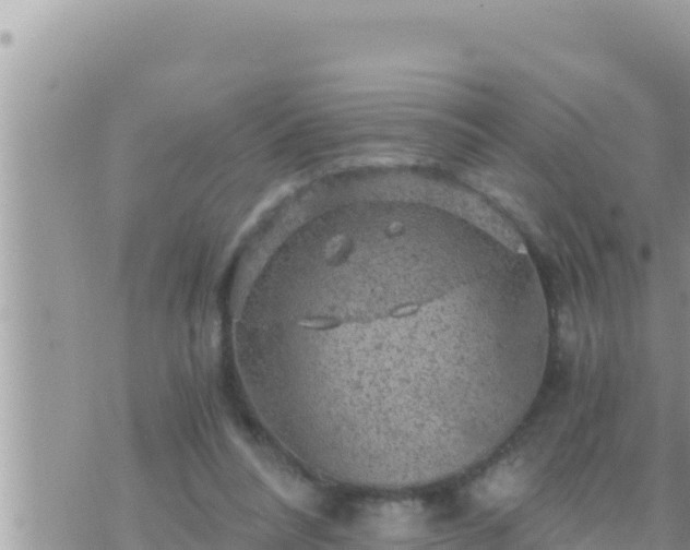 X0000073750304200608102027