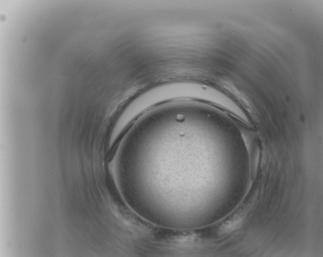 X0000073750306200608102027