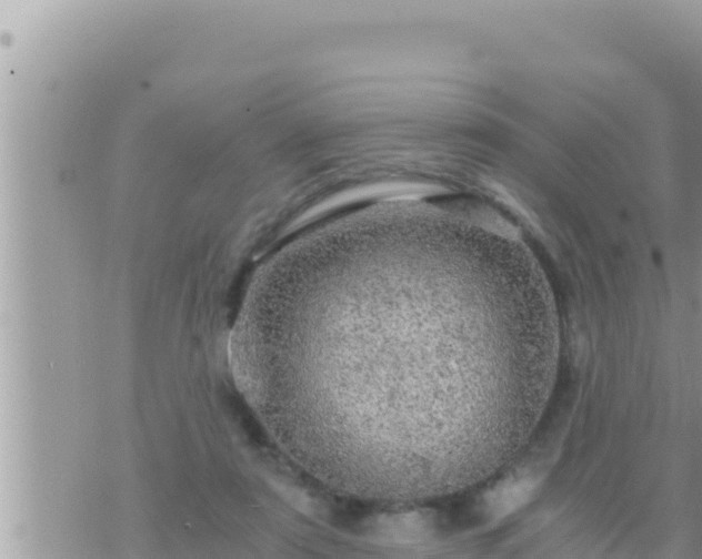 X0000073750307200608102027