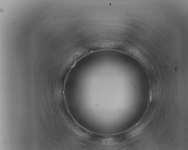 X0000073750309200608102027