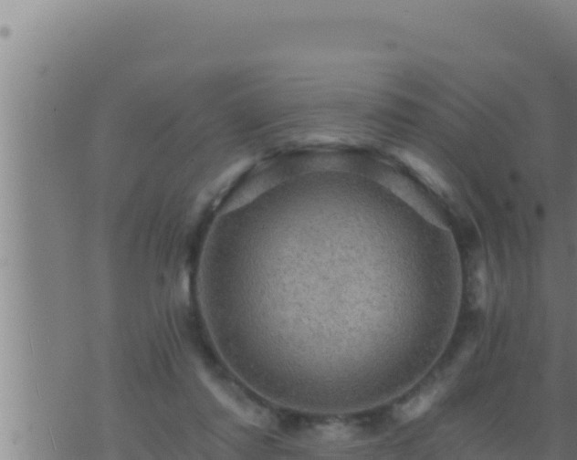 X0000073750310200608102027