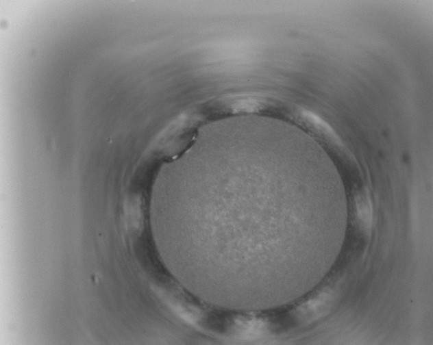 X0000073750311200608102027