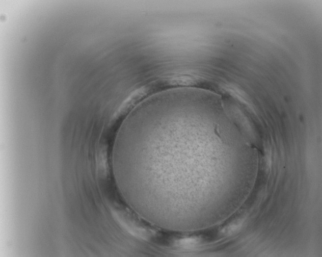 X0000073750312200608102027