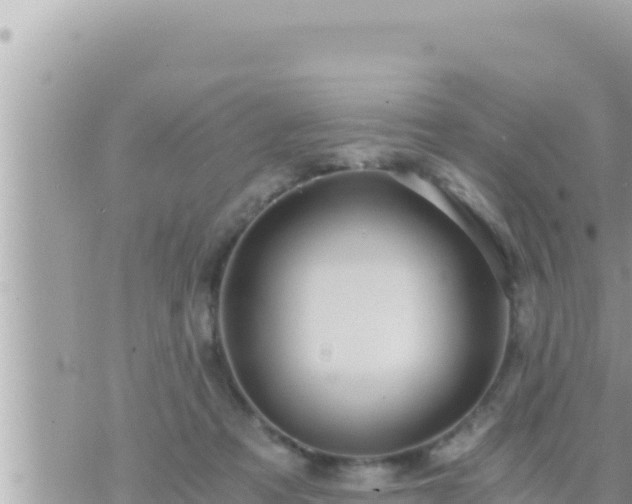 X0000073750313200608102027