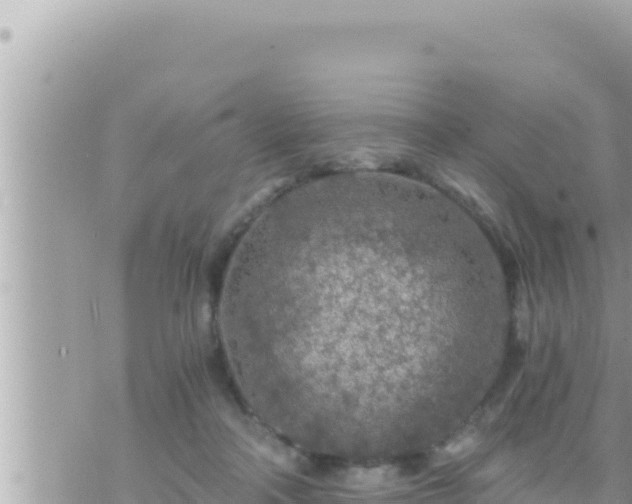 X0000073750314200608102027