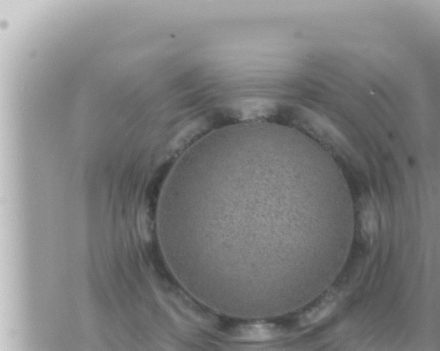 X0000073750316200608102027