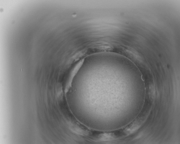 X0000073750320200608102027