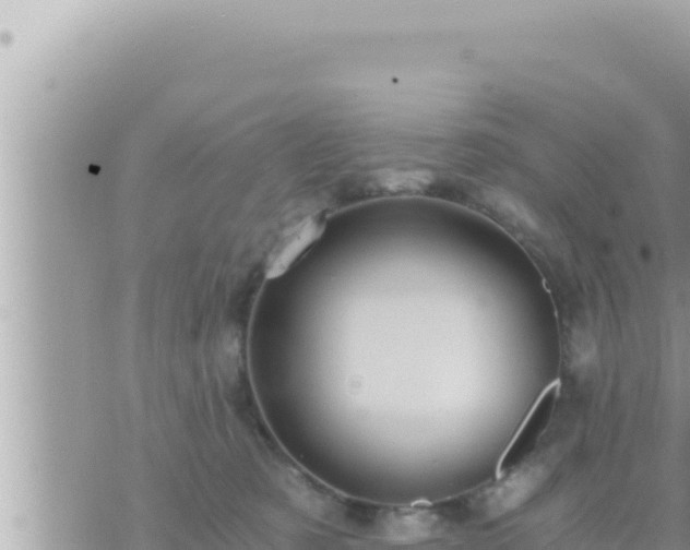 X0000073750321200608102027