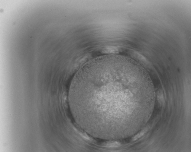 X0000073750322200608102027