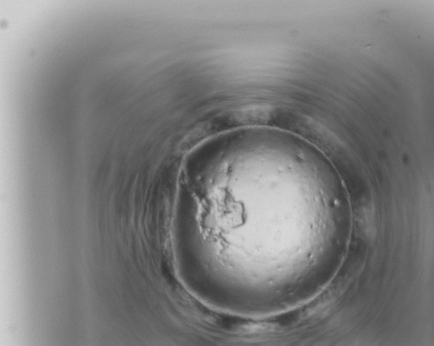 X0000073750323200608102027