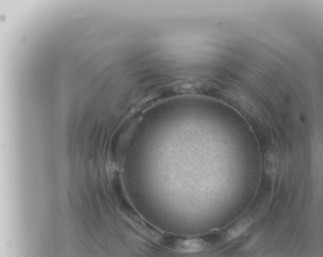 X0000073750324200608102027