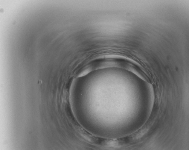 X0000073750325200608102027