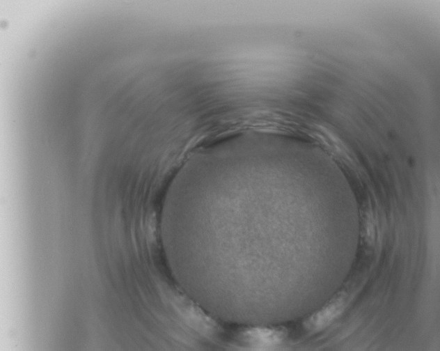 X0000073750326200608102027