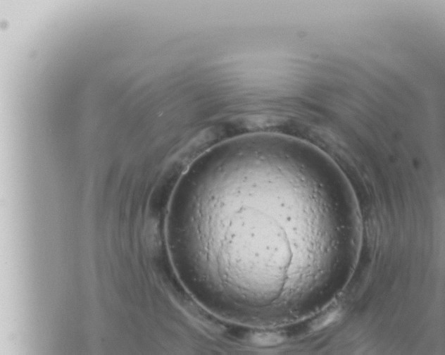 X0000073750327200608102027