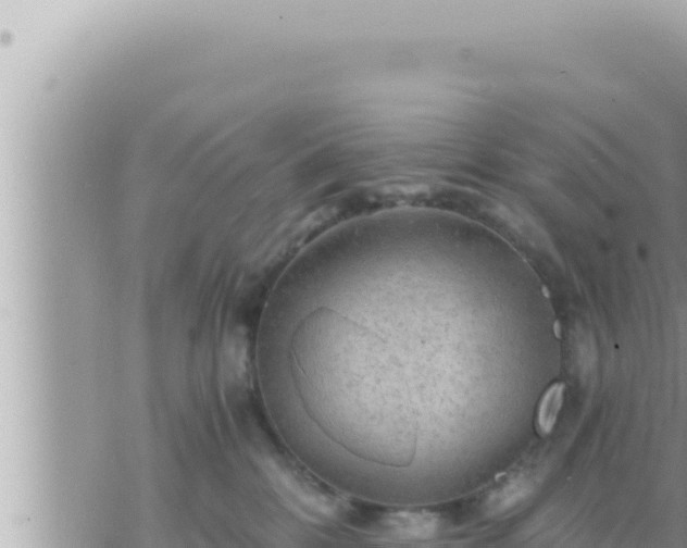 X0000073750328200608102027