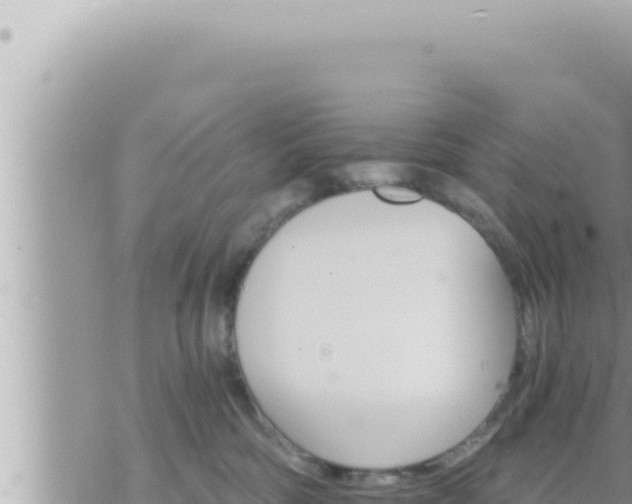 X0000073750330200608102027