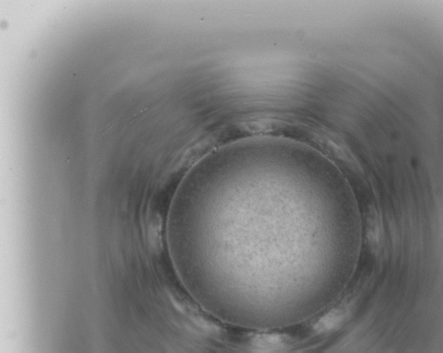 X0000073750332200608102026