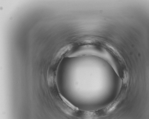 X0000073750333200608102026