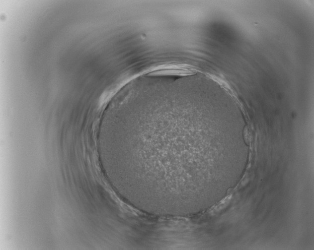 X0000073750337200608102026