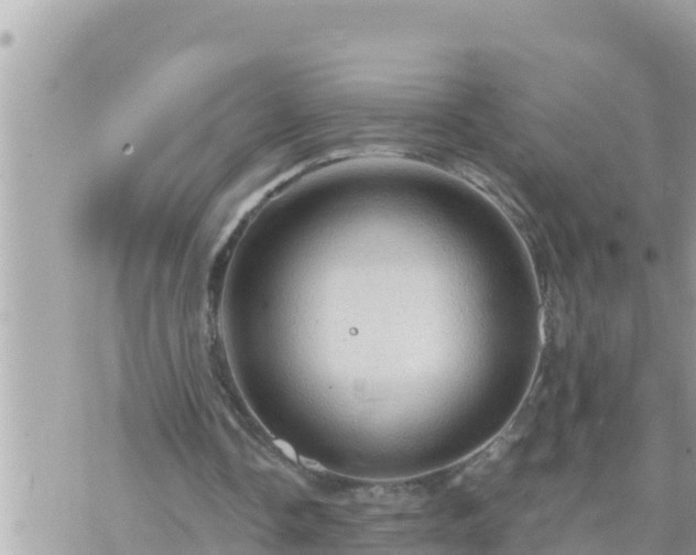 X0000073750338200608102026