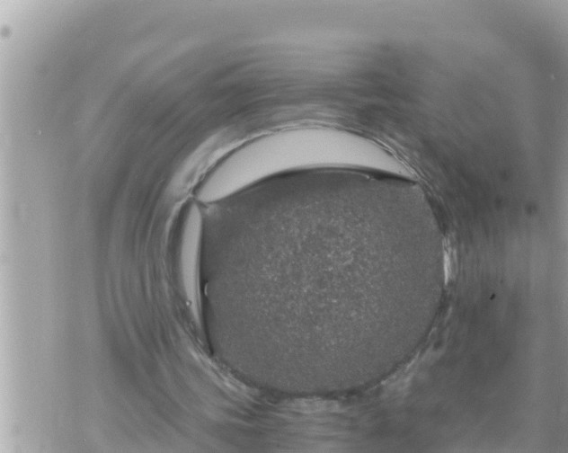 X0000073750339200608102026