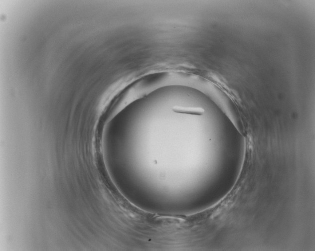 X0000073750340200608102026