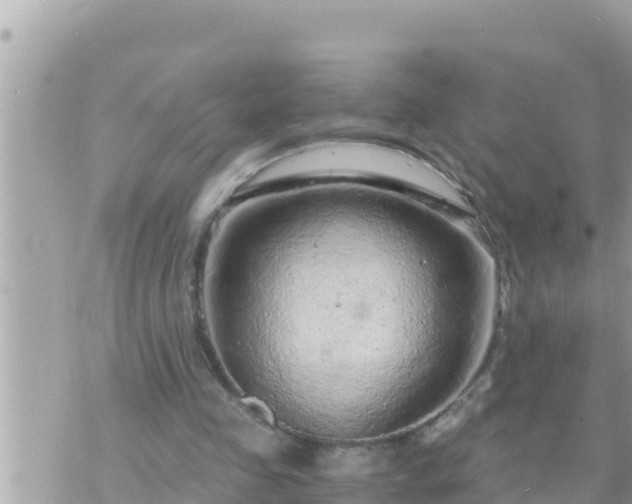 X0000073750341200608102026