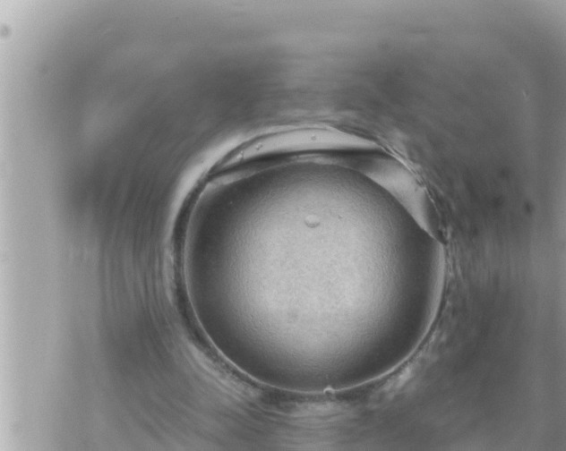 X0000073750342200608102026