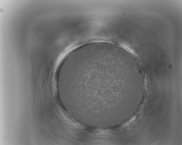 X0000073750343200608102026