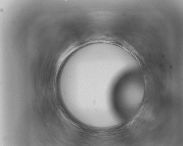 X0000073750344200608102026