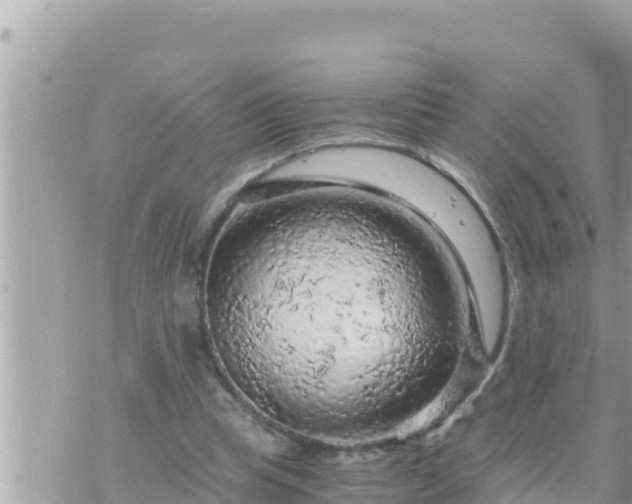 X0000073750345200608102026