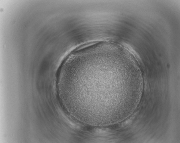 X0000073750346200608102026