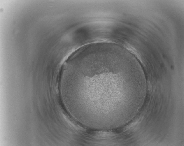 X0000073750347200608102026