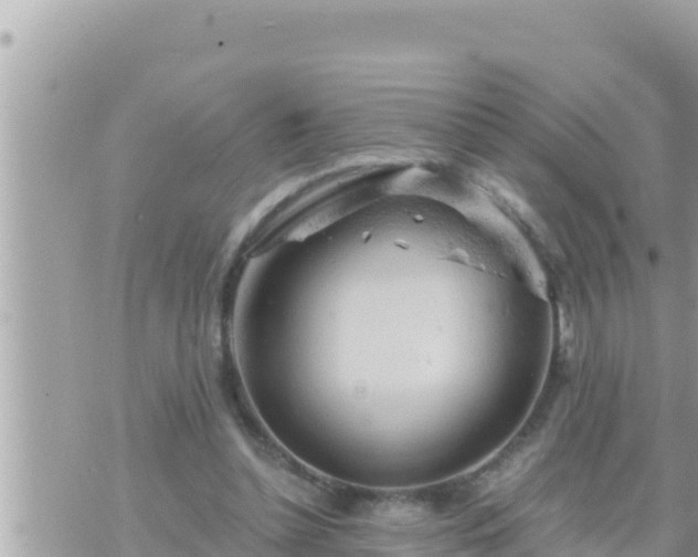 X0000073750348200608102026