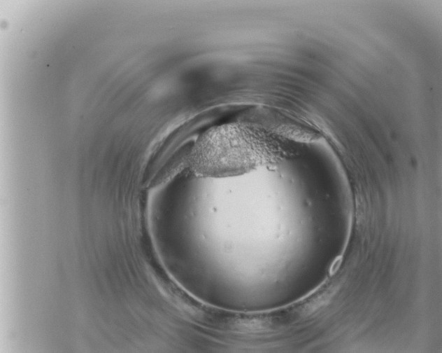 X0000073750349200608102026