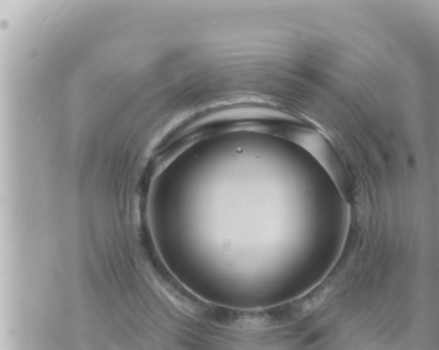 X0000073750350200608102026