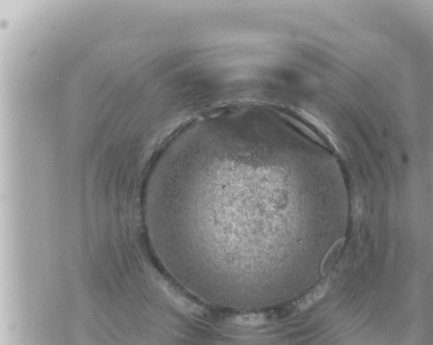 X0000073750353200608102026