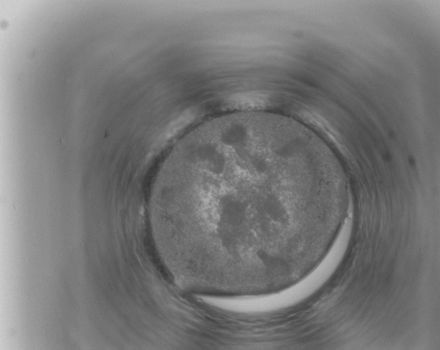 X0000073750355200608102026