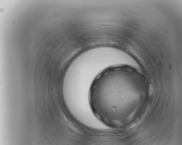 X0000073750356200608102026