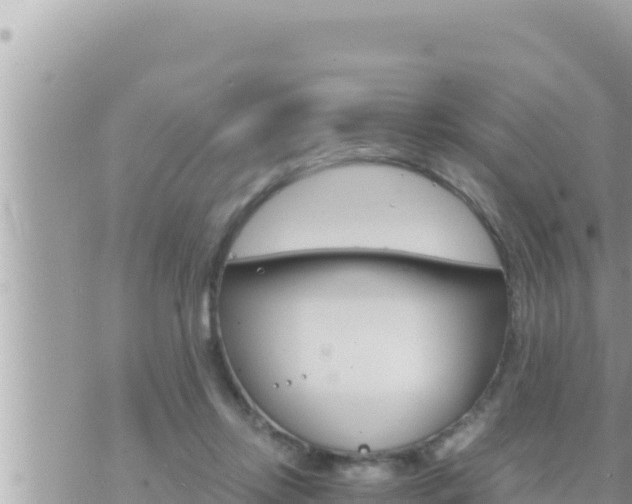 X0000073750358200608102026